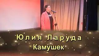 Юлия Ларуда – Камушек