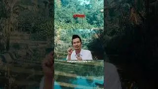 GUS BAHA // SENENG