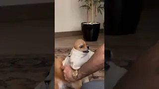 Не хочу 