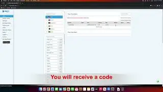 How to get a number and get sms code in  smspinverify.com