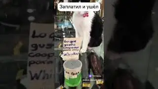 Заплати и вали!