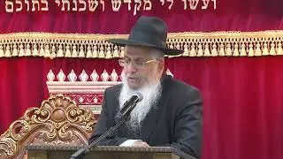 הנהגות חג הסוכות ושמיני עצרת