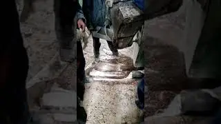 Устройство гранулятора и обслуживание