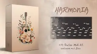 [+70] GUITAR MIDI KIT 