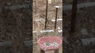 ca846234 3120 494c 9808 289ba28687c0