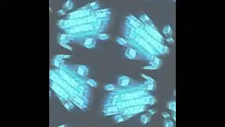 TRVNK - HAWK (long version)