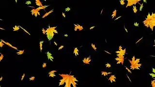 Sheet Listopad Autumn The End Cold Winter Leaves