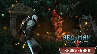 ВЕДЬМАК 3:КРОВЬ И ВИНО•ОХОТА ЗА СОКРОВИЩАМИ