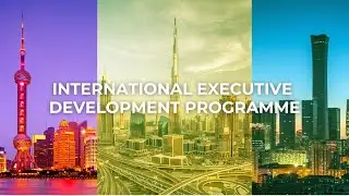 International Executive Development Programme