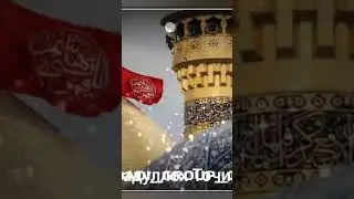гушкун лайка пшап