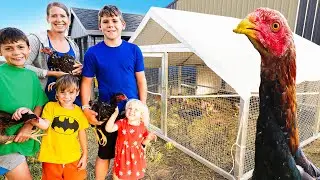 Nuestro Nuevo Gallinero para las Gallinas más Altas del Mundo