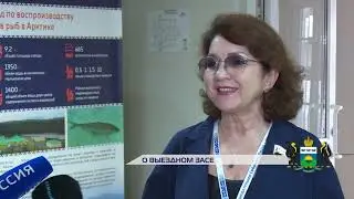 Людмила Цупикова о выездном заседании комитета