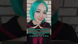 Интеллектуальный юмор не для всех 🌚  