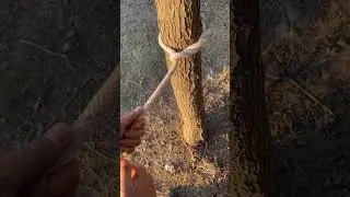 Very Practical Knots -  You MUST know