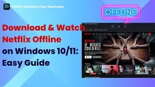 Download & Watch Netflix Offline on Windows 10/11