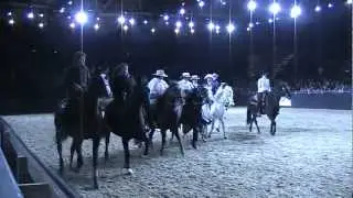 Equitana Auftritt Gangpferde Halle 6 24.3.TTraber,Paso Peruano, Paso Fino, TWalker,