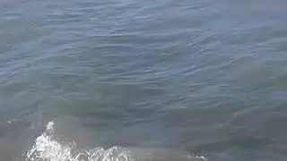 Махачкала море