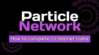 How To Complete Co-Testnet Tasks On Particle Network Testnet