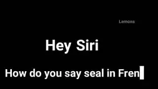 thats why i dont trust siri
