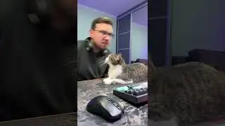 Системы безопасности - солидный лого с украинским характером