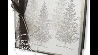 Dazzling Dryer Sheet Holiday Sparkle Card featuring Stampin' Up! products WOW