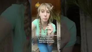 25 июля 2024 г.