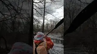 Заблудиться в лесу на байдарке в паводок