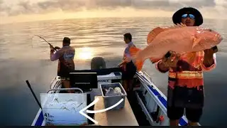 CORAL TROUT | hand line fishing on the Great Barrier Reef
