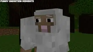 Wither Life - Craftronix Minecraft Animation