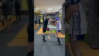 Tiger Fight (TFC) Sparring day 🔥 #shorts #sparring #strongman