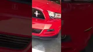 2014 Mustang GT CS LED Side Markers #shorts #YouTubeShorts #Cars