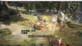 Black Desert