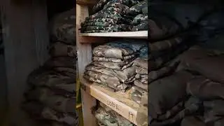 рубрика "научпок" маскировка в пейнтболе. цвет формы