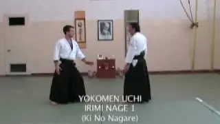 Traditional aikido sandan level Taijutsu techniques PART 4