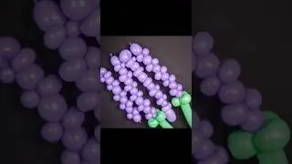 How to make Balloon Lavender #balloon #balloons #balloontwisting #balloonsbynostra #fypage #fyp