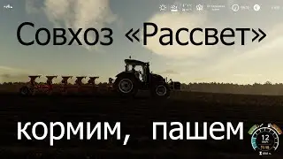 Совхоз Рассвет Осень - Прохождение FS19.