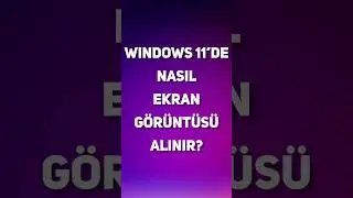 Windows 11'de Nasıl Ekran Görüntüsü Alınır? 