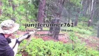 ANCIENT AMERICA! DISCOVERIES IN THE BUSH