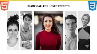 Stunning HTML & CSS Card Animation Tutorial on Hover