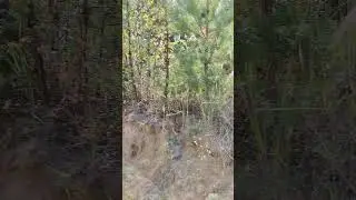 29 августа 2024 г.