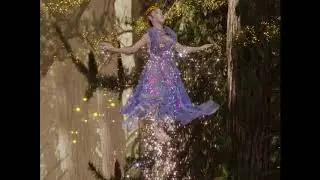 Fairy Orbs in the Woods. A Blender CGI animation