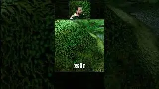 Мох 
