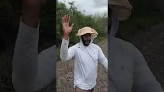 Catching a BIG Indigo Snake!