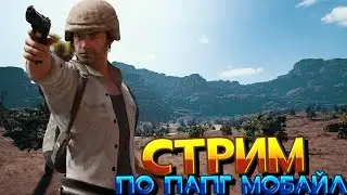 Стрим по Папг Мобайл играем с подписчиками