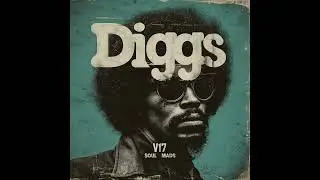 [15+] Diggs Vol.17 - Soul Mads Edition (Rare/Soulful Samples)