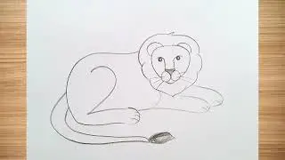 how to draw lion drawing easy step by step@DrawingTalent