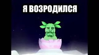 Общага , таракашки