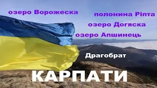 Свидовець. Похід Чорна Тиса - Кваси з дитиною. Ріпта, Апшинець, Ворожеска, Драгобрат. День 2
