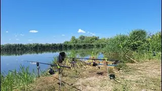 Рибалка з ночівлею на березі річки Дністер. Величезний КАРАСЬ. Рибалка на горох