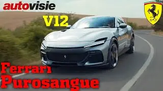 Het geluid van de Ferrari Purosangue V12! | Autovisie | 4K